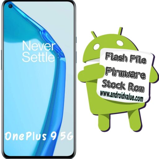 Download Oneplus 9 5G Firmware